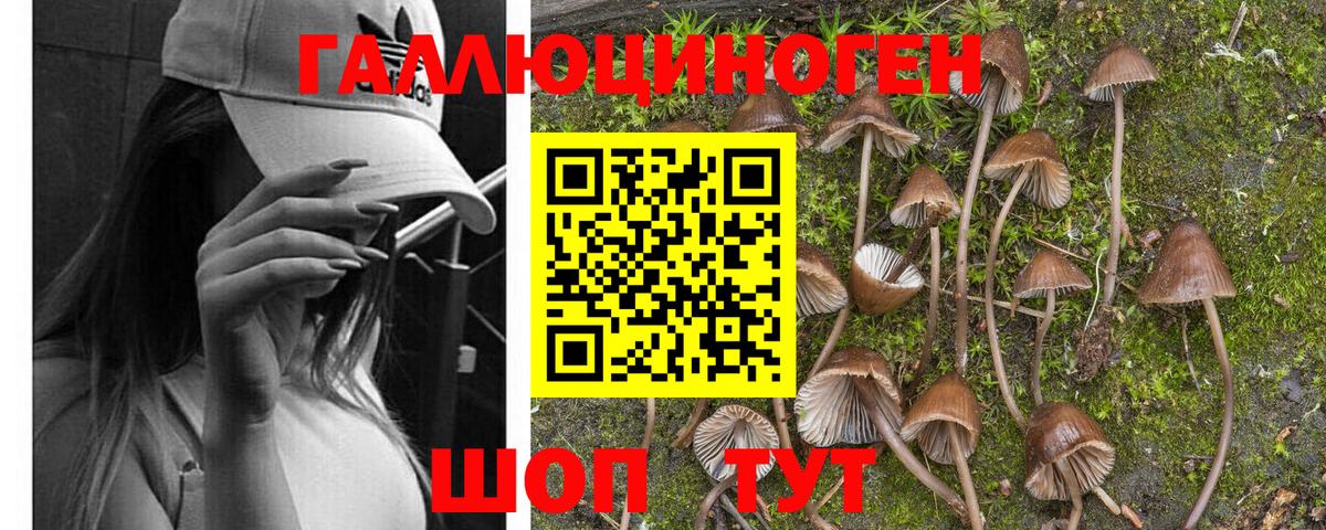 Псилоцибиновые грибы MAGIC MUSHROOMS  Вход с VPN  Муром 