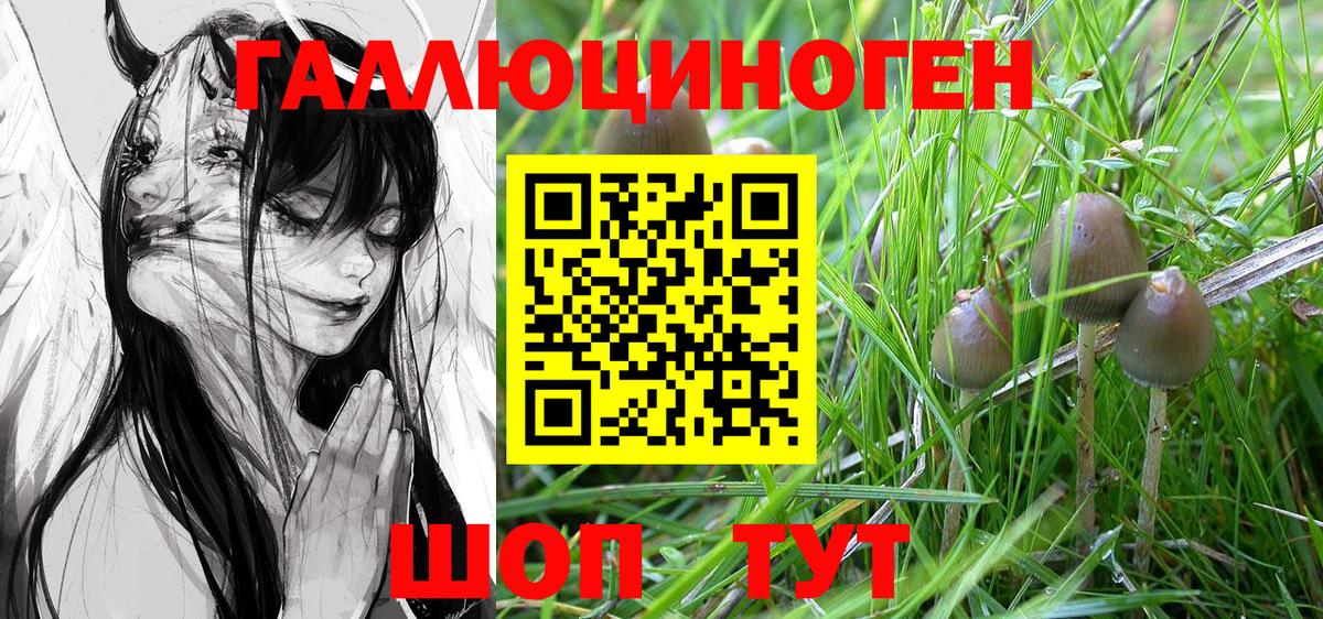 Галлюциногенные грибы Magic Shrooms Муром